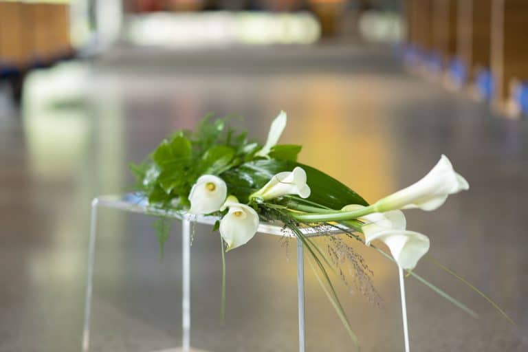 Enkel kistedekorasjon i hvitt med calla liljer